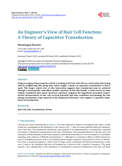An Engineer`s View of Hair Cell Function