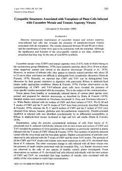Cytopathic Structures Associated with Tonoplasts of Plant Cells