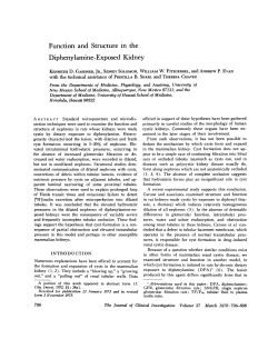 Function and Structure in the