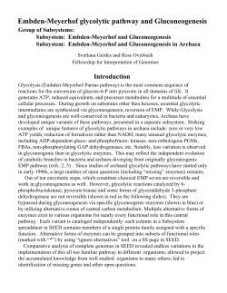 Embden-Meyerhof glycolytic pathway and