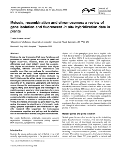 Meiosis, recombination and chromosomes