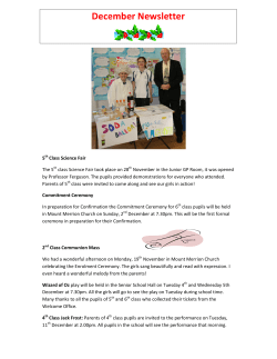 Mount Anville Montessori Junior Newsletter December 2012