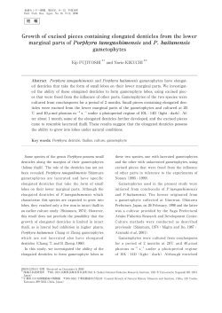 Growth of excised pieces containing elongated denticles from the