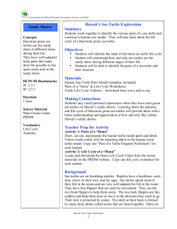 Hawaii`s Sea Turtle-Explorer - University of Hawaii at Hilo