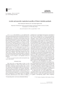 Aerobic and anaerobic respiration in profiles of Polesie