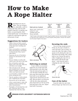 How to Make A Rope Halter - AgriLife Extension County Offices