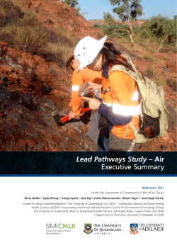 Lead Pathways Study &ndash; Air Executive Summary
