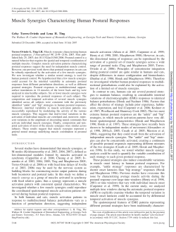 Muscle Synergies Characterizing Human Postural Responses