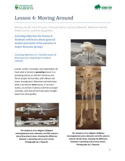 Lesson 4: Moving Around