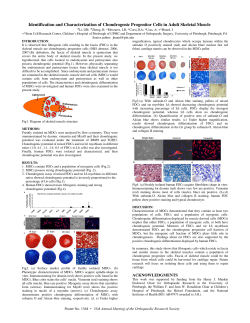 Identification and Characterization of Chondrogenic Progenitor Cells