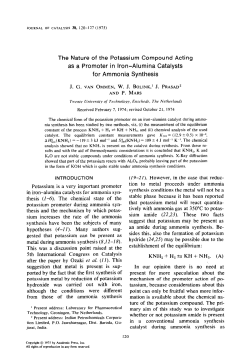 The Nature of the Potassium Compound Acting as a Promoter