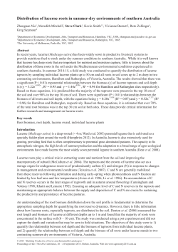 Distribution of lucerne roots in summer