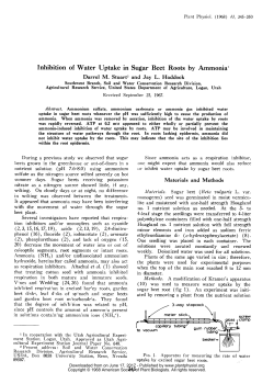 Inhibition of Water Uptake in Sugar Beet Roots by Ammonia`