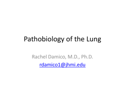Pathobiology of the Lung