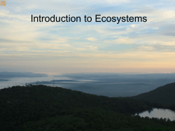 The Hudson River as an Ecosystem PPT