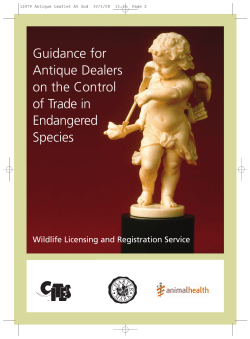 Guidance for Antique Dealers on the Control of Trade in