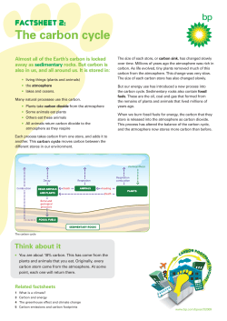 Factsheet 2: The carbon cycle