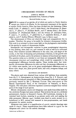 CHROMOSOME STUDIES OF PHLOX JAMES R. MEYER