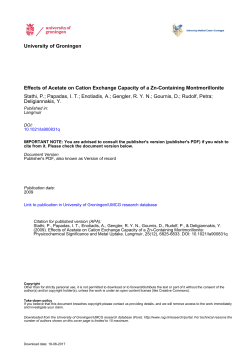 Effects of Acetate on Cation Exchange Capacity of a Zn