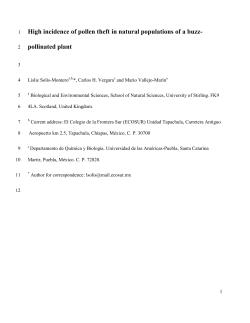 Solis-Montero et al_Pollen Theft MS - Mario Vallejo