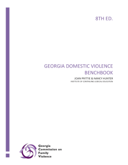 Georgia Domestic Violence Benchbook