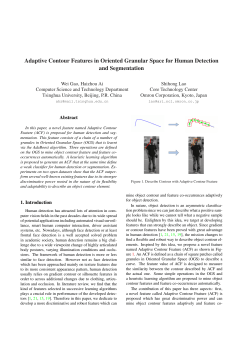 Adaptive Contour Features in Oriented Granular Space for Human