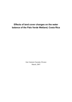 Effects of land cover changes on the water balance of the Palo