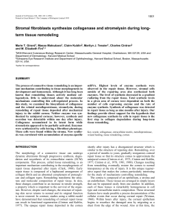 term tissue remodeling - Journal of Cell Science