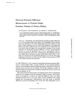 Electrical Potential Difference Measurements in Perfused Single