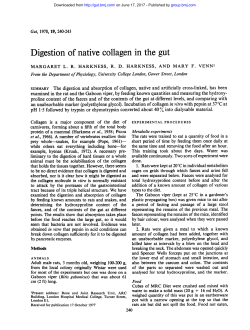 Digestion ofnative collagen in the gut