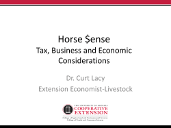 Horse Sense
