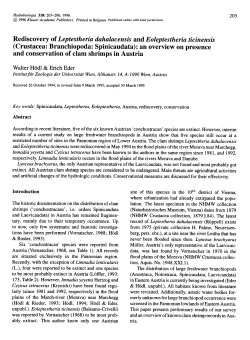 Crustacea: Branchiopoda: Spinicaudata