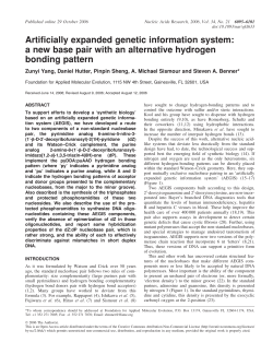 Artificially expanded genetic information system: a new base pair