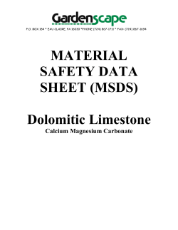 MATERIAL SAFETY DATA SHEET (MSDS