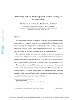 Predicting cortical bone adaptation to axial loading in the mouse tibia