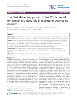 The Nedd4-binding protein 3 (N4BP3) is crucial for axonal and