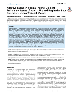 Adaptive Radiation along a Thermal Gradient