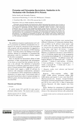 Protamine and Polyarginine Bacteriolysis. Similarities in Its