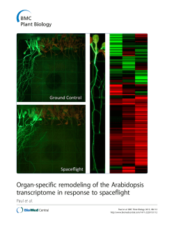 Organ-specific remodeling of the Arabidopsis transcriptome in