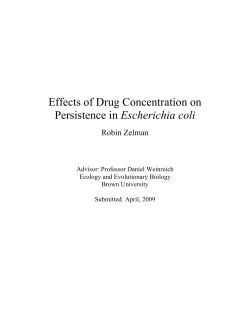Effects of Drug Concentration on Persistence in