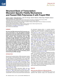 Mismatch-Specific Fidelity Mechanisms and Paused RNA
