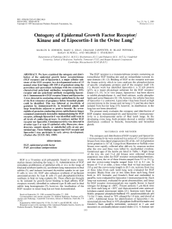 Ontogeny of Epidermal Growth Factor Receptor