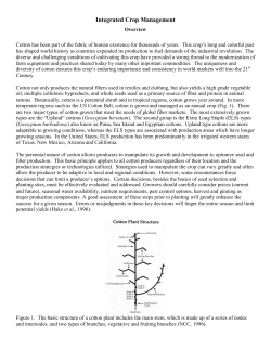 Chapter 4 - The National Cotton Council