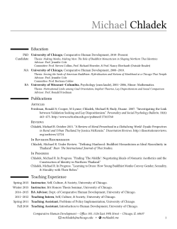 as PDF - Michael Chladek