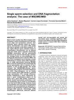 Single sperm selection and DNA fragmentation analysis