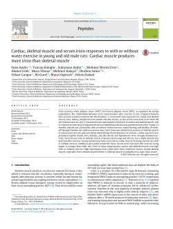 Cardiac, skeletal muscle and serum irisin responses to with or