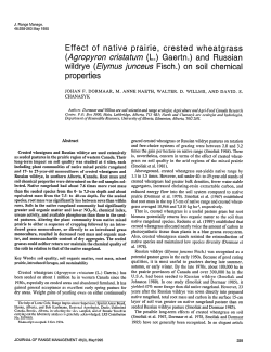 Effect of native prairie, crested (Agropyron crisfafum (L.) Gaertn