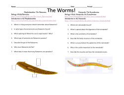 The Worms!