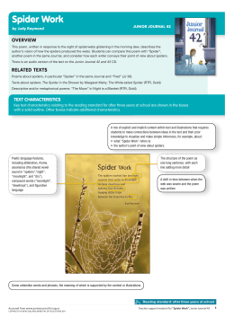 spider work - Literacy Online