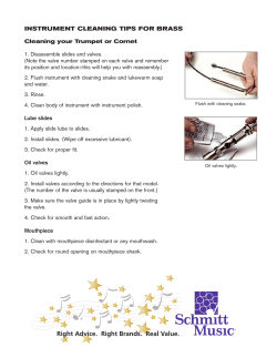 INSTRUMENT CLEANING TIPS FOR BRASS